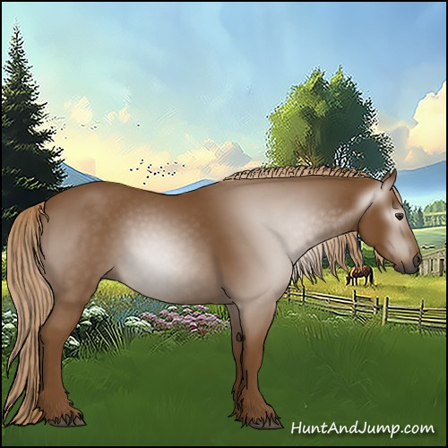 Horse Color:Gray Chestnut