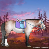 Horse Color:Gray Bay 