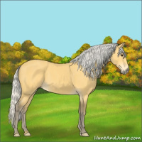 Horse Color:Silver Buckskin 