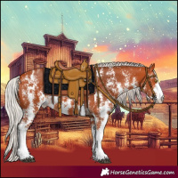 Horse Color:Silver Bay Sabino Rabicano 