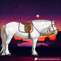 Horse Color:Bay Appaloosa