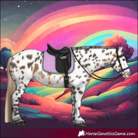Horse Color:Buckskin Appaloosa