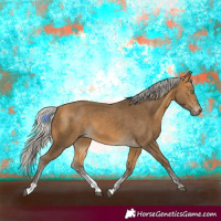 Horse Color:Silver Buckskin Sabino Rabicano 
