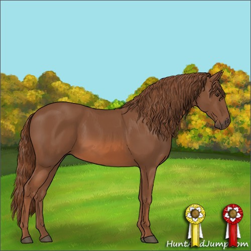 Horse Color:Chestnut 