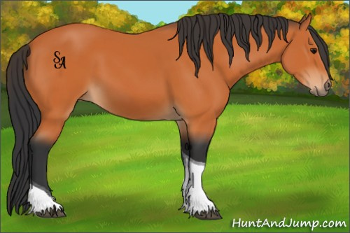 Horse Color:Bay Tobiano 