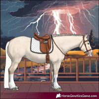 Horse Color:Silver Classic Champagne Dun Splash Frame 