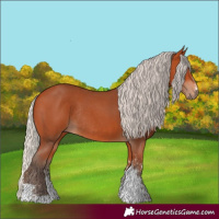 Horse Color:Silver Bay Sabino Rabicano 