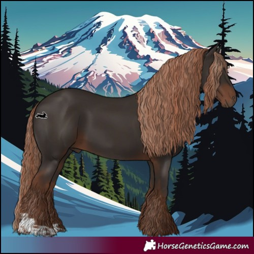 Horse Color:Liver Chestnut  and Liver Chestnut 
