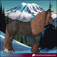 Horse Color:Liver Chestnut  and Liver Chestnut 