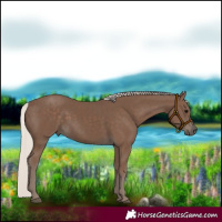 Horse Color:Silver Black 