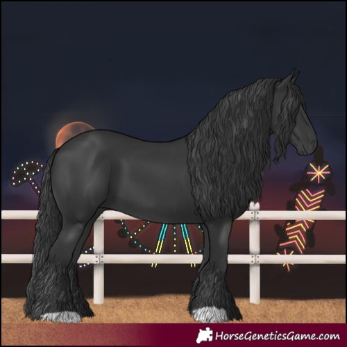 Horse Color:Black 