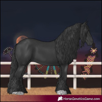 Horse Color:Black 