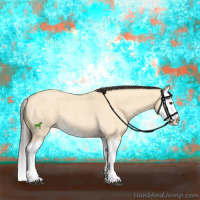 Horse Color:Buckskin Roan Dun Splash 