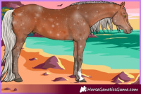 Horse Color:Silver Bay Sabino Rabicano 