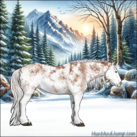 Horse Color:Silver Bay Sabino Rabicano 