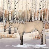 Horse Color:Silver Bay Dun 