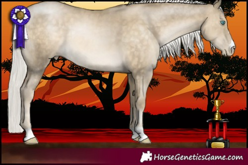 Horse Color:Silver Buckskin Pearl Rabicano 