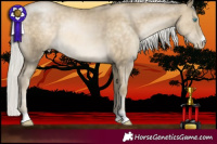 Horse Color:Silver Buckskin Pearl Rabicano 