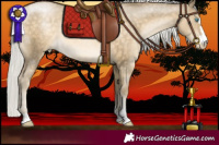 Horse Color:Silver Buckskin Pearl Rabicano 