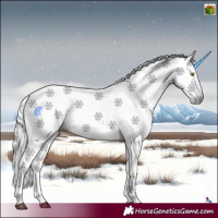Horse Color:Gray Silver Bay Ice Sabino Rabicano 