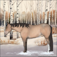 Horse Color:Amber Champagne Rabicano 
