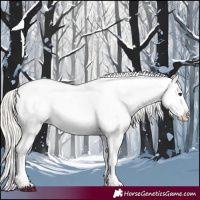 Horse Color:Silver Brown Dun Varnish 