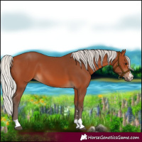 Horse Color:Silver Bay 