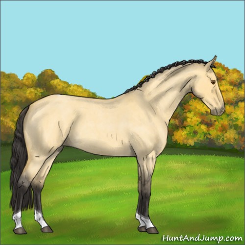 Horse Color:Buckskin Roan Dun Tobiano 