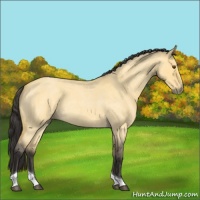 Horse Color:Buckskin Roan Dun Tobiano 