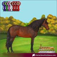 Horse Color:Brown 