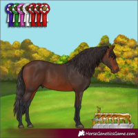 Horse Color:Brown 