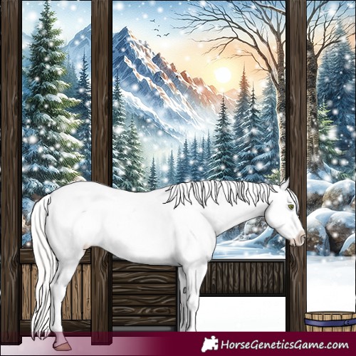 Horse Color:Silver Sable Champagne Dun Appaloosa