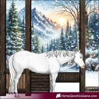 Horse Color:Silver Sable Champagne Dun Appaloosa 