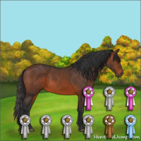 Horse Color:Brown 