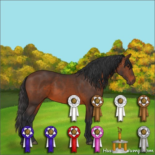 Horse Color:Brown 