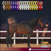 Horse Color:Brown 