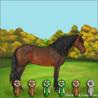 Horse Color:Brown 