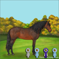 Horse Color:Brown 