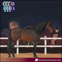 Horse Color:Brown 