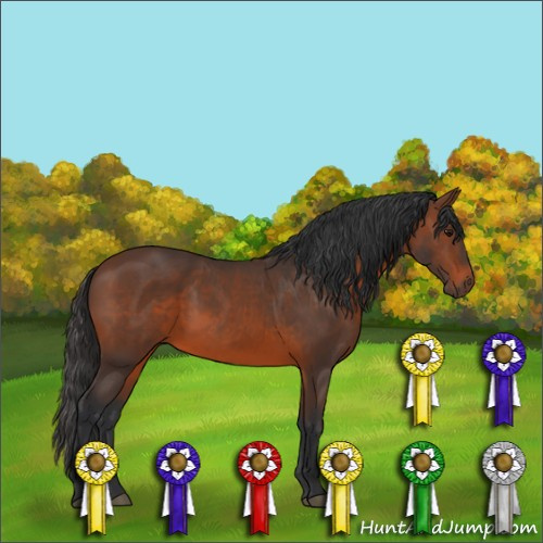 Horse Color:Brown 