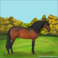 Horse Color:Brown 