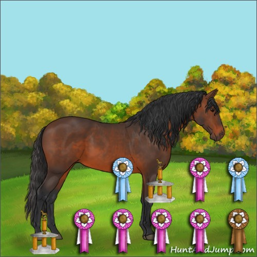 Horse Color:Brown 