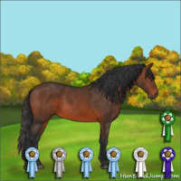 Horse Color:Brown 