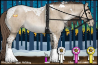 Horse Color:Grullo Pearl Tobiano Rabicano Brindle 