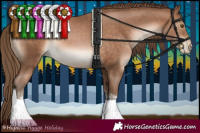 Horse Color:Brown Pearl Tobiano Rabicano 