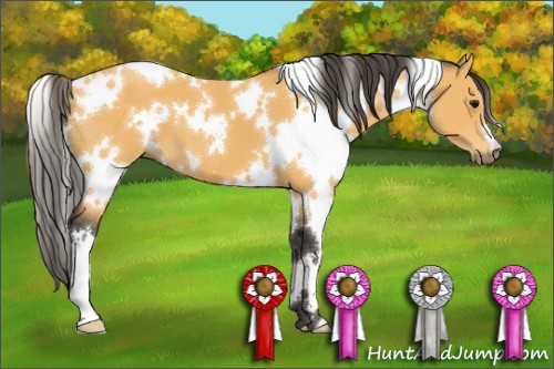 Horse Color:White Spotted Buckskin 
