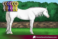 Horse Color:White Spotted Chocolate Palomino Dun Snowflake Varnish 