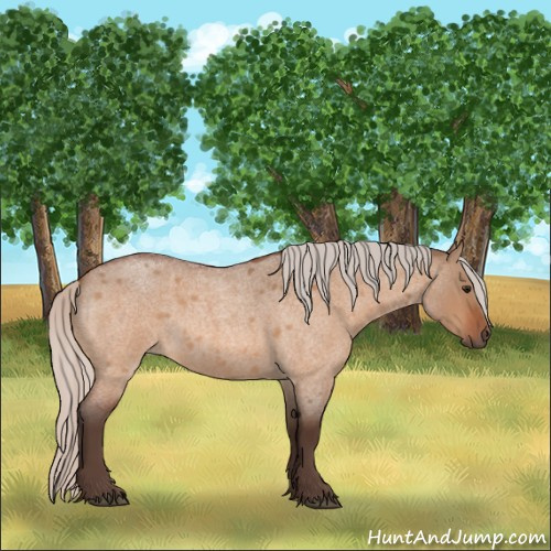 Horse Color:Silver Bay Roan Dun 