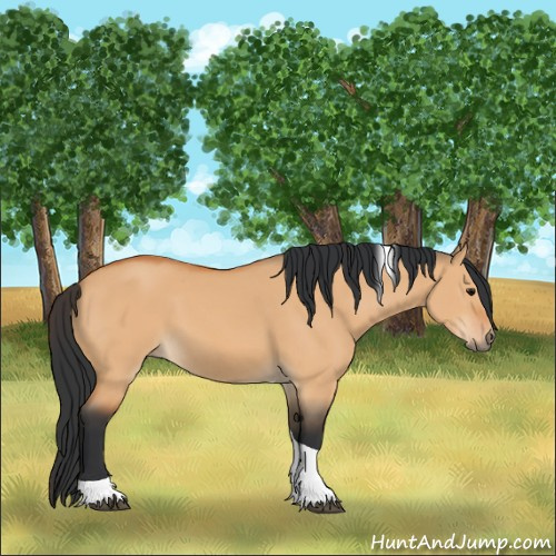 Horse Color:Bay Dun Tobiano 
