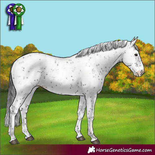 Horse Color:Smoky Black Sabino